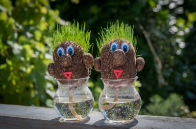 grass_figurines_vase_garden_green_toy_cute_decoration-784192